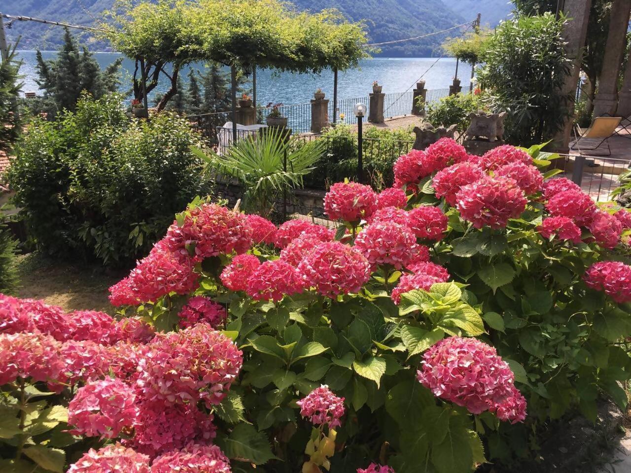 Villa Peroni Honeymoon Cottage Argegno Εξωτερικό φωτογραφία